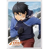 ハイキュー!! モンハン 日向翔陽 ポストカード 特典 カプコンカフェ ハイキュー!! モンハン 日向翔陽 ポストカード 特典 カプコンカフェ